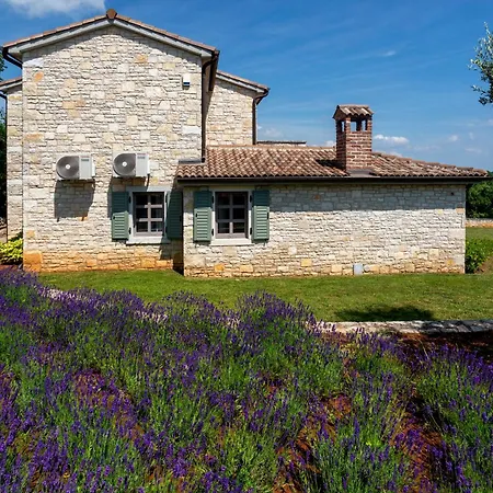 Villa Luna Sveti Lovreč Pazenatički
